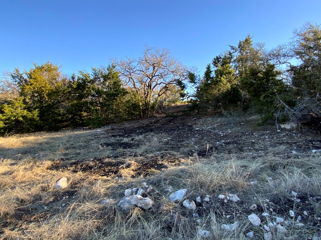 41 Rocksprings Tx 78880 Rocksprings, TX 78880 - Photo 4 of 62