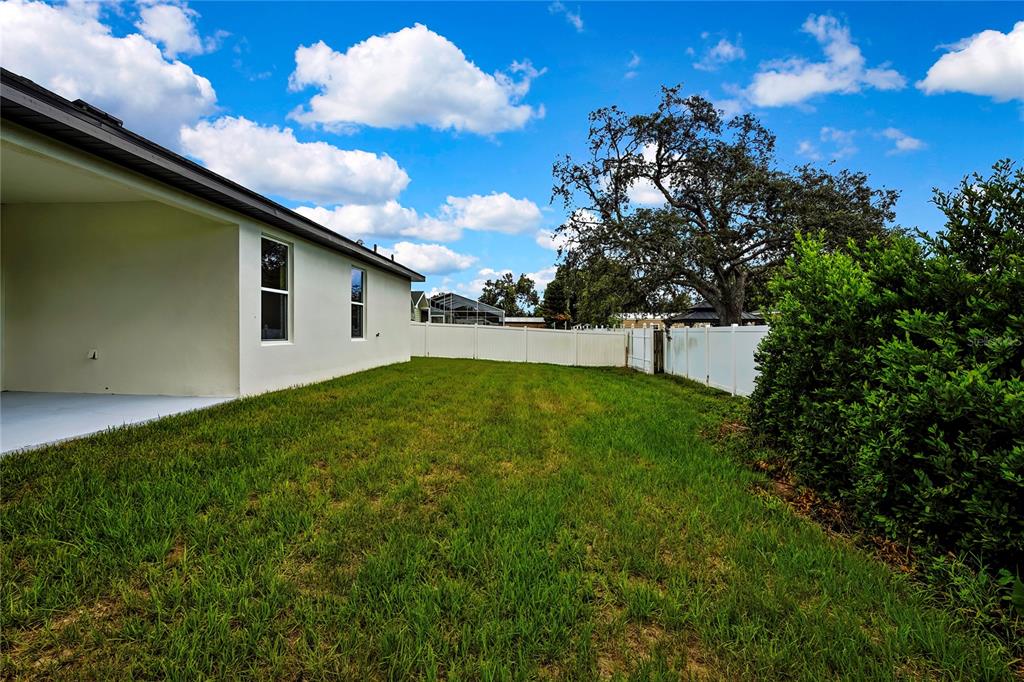6589 Freeport Drive Spring Hill, FL 34608 - Photo 45 of 57 a view of a backyard with plants and a large tree