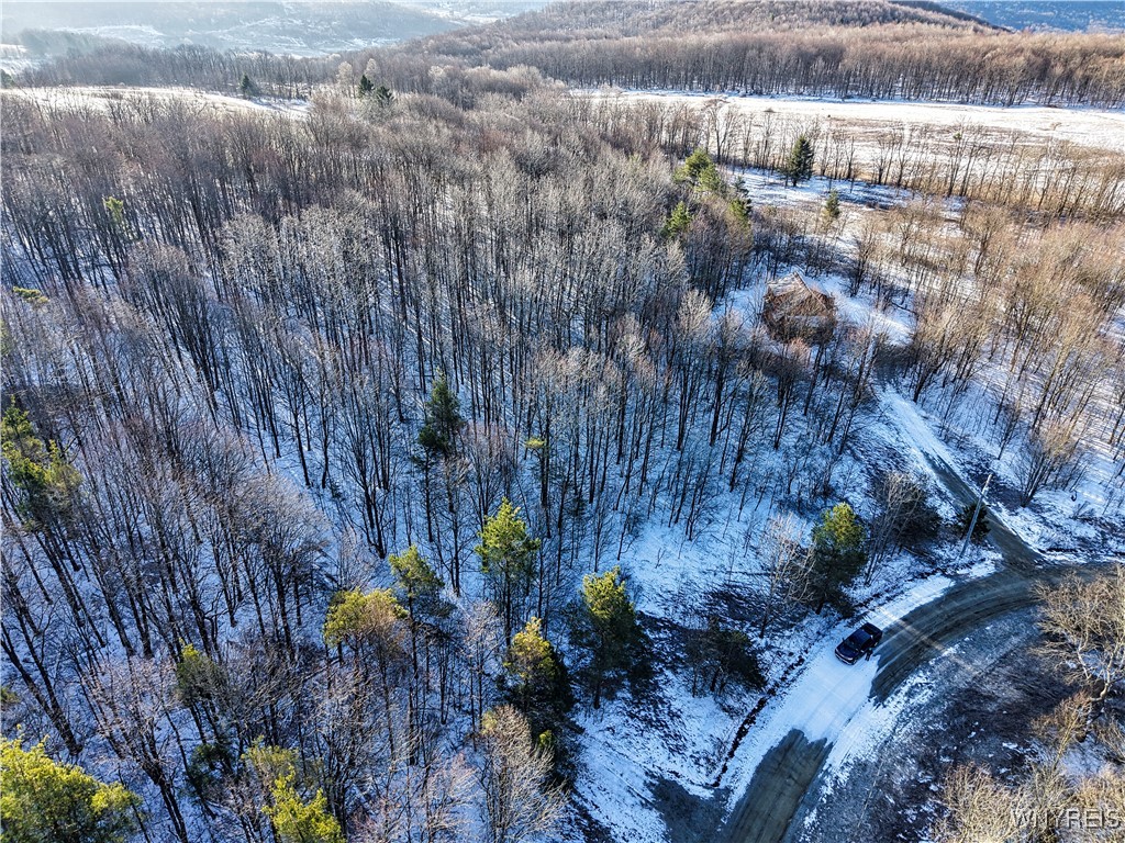 26-27 Creek Ridge Road Ellicottville, NY 14731 - Photo 1 of 12