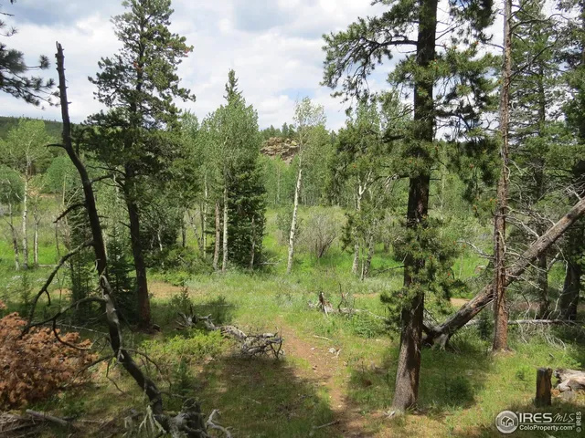 $99,000 | 0 Peak To Peak Highway, Boulder, CO 80302