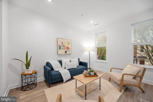 a living room with furniture and a potted plant