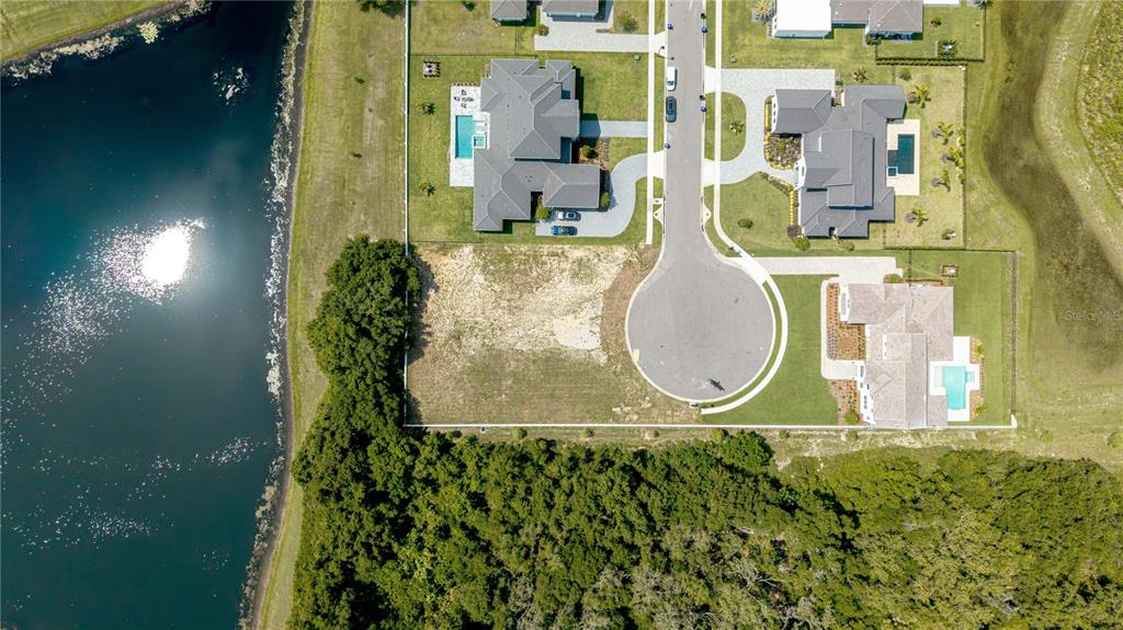 2504 Windermere Reserve Court Windermere, FL 34786 - Photo 3 of 26