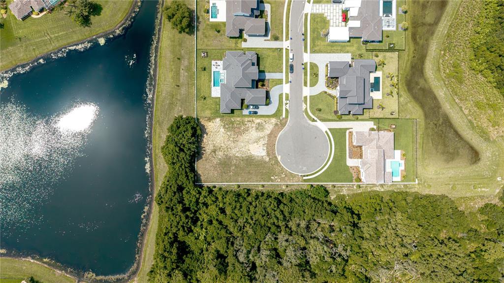 2504 Windermere Reserve Court Windermere, FL 34786 - Photo 7 of 26