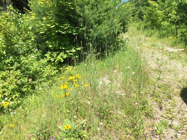 Lot 5-2 Jellison Meadow Road Ellsworth, ME 04605 - Photo 14 of 15 Photo