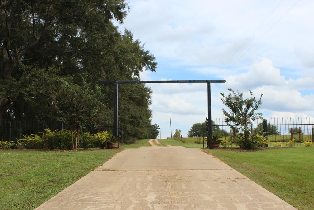 2498 Tindil Creek Road Slocomb, AL 36375 - Photo 3 of 49 Main Gate