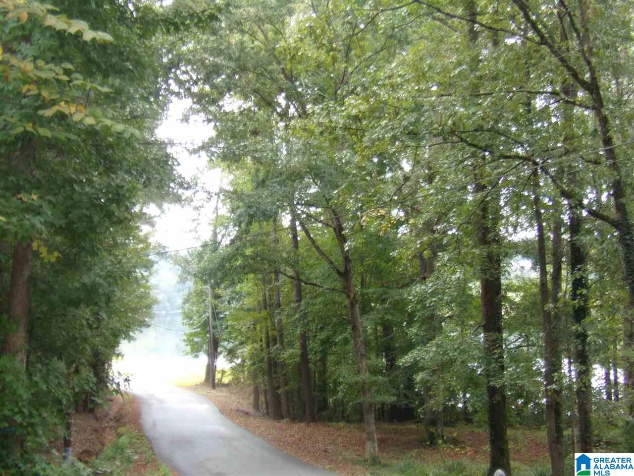 13419 Ski Lake Road McCalla, AL 35111 - Photo 30 of 35