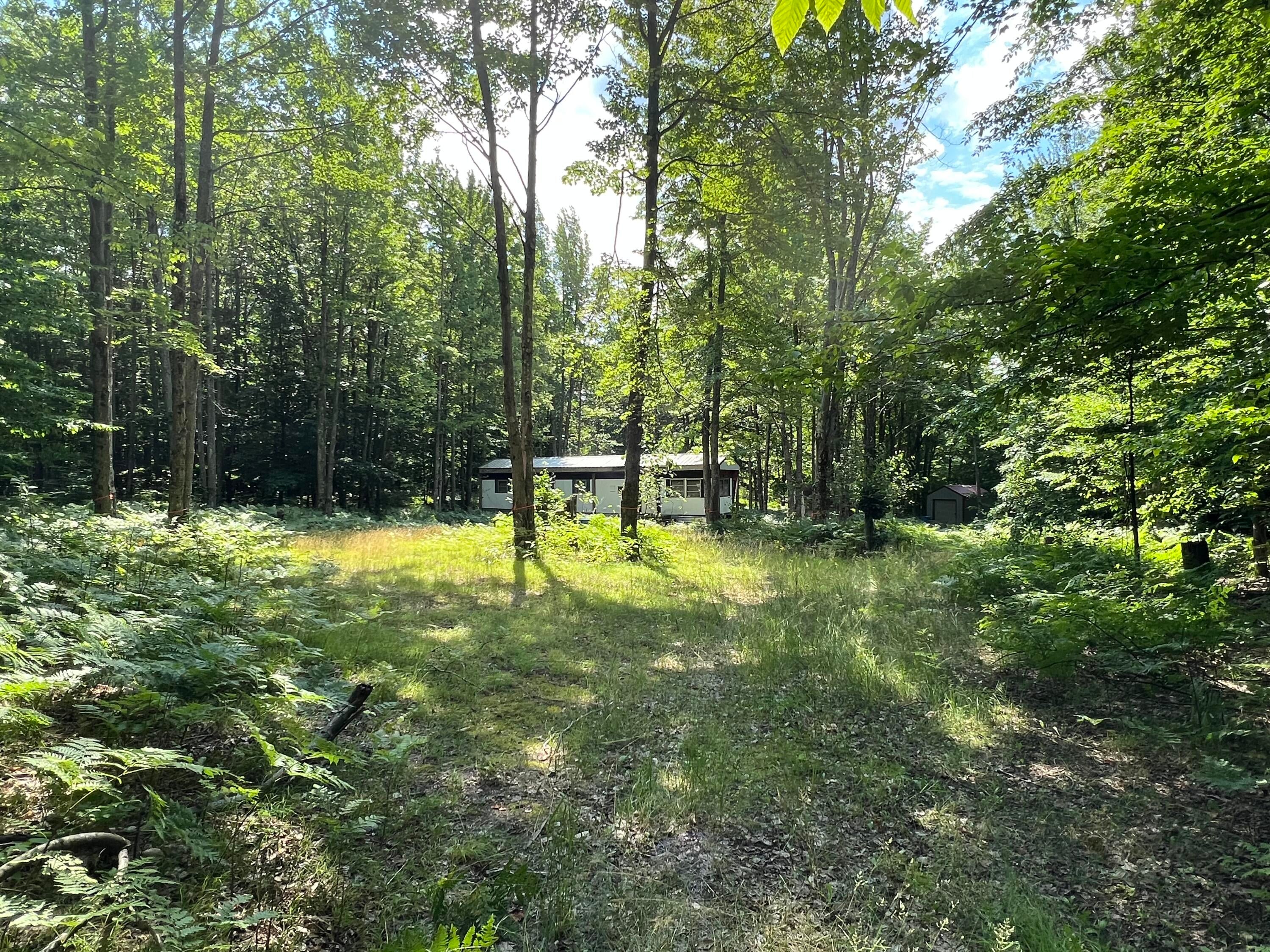 11835 West 16 Road Mesick, MI 49668 - Photo 13 of 21 Gallery Image 13
