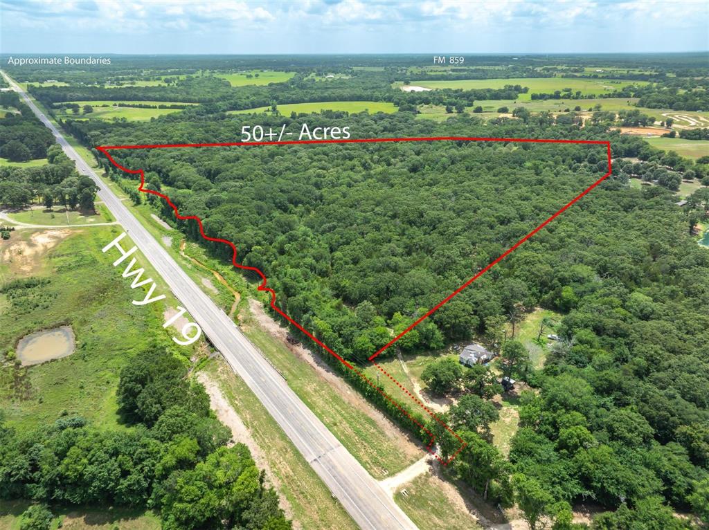 Tbd Tbd Tx-19 Edgewood, TX 75117 - Photo 1 of 7