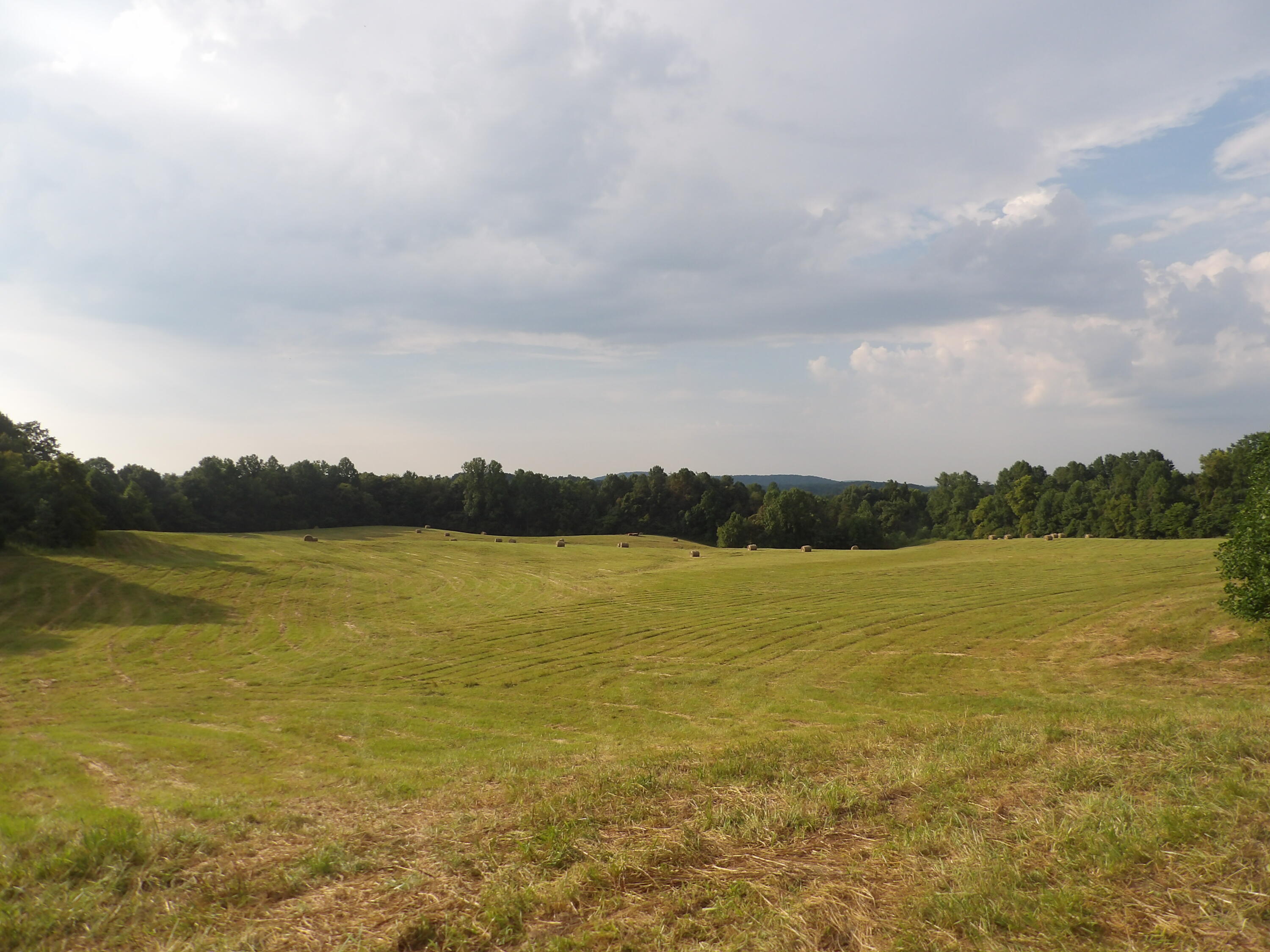 371 Dug Road Monticello, KY 42633 - Photo 4 of 18 103_2395
