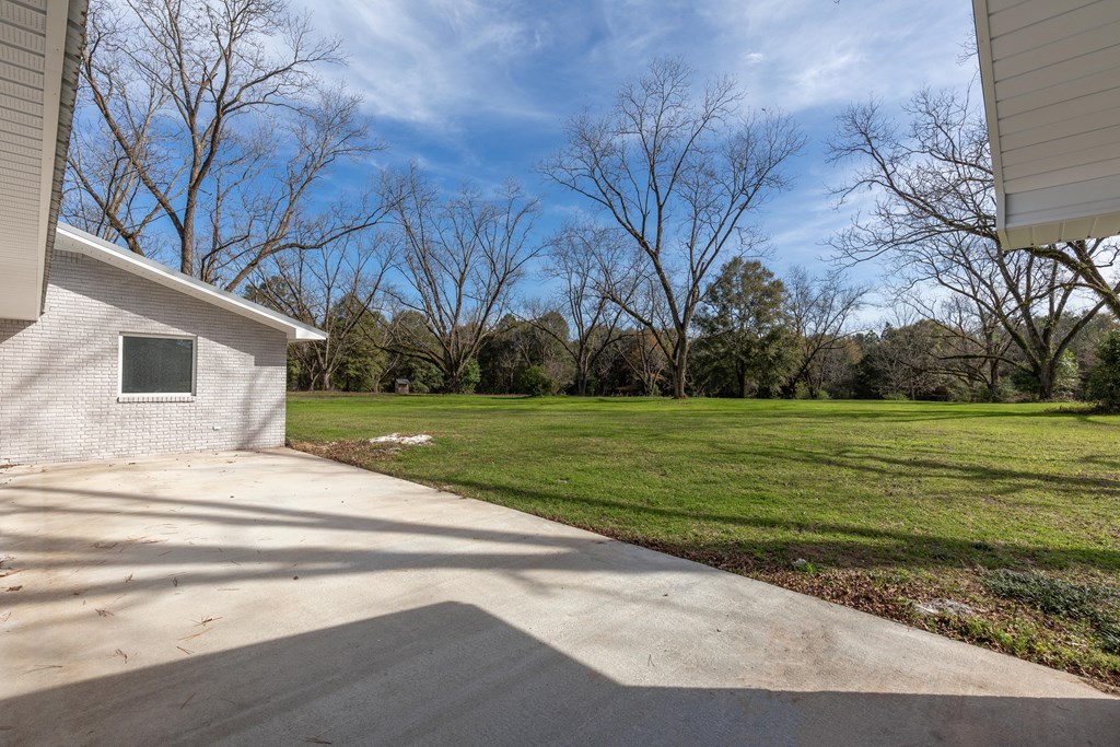 1635 Spring Street Newton, AL 36352 - Photo 4 of 41