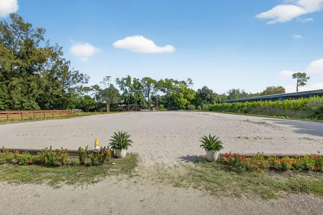 a view of a park with large trees