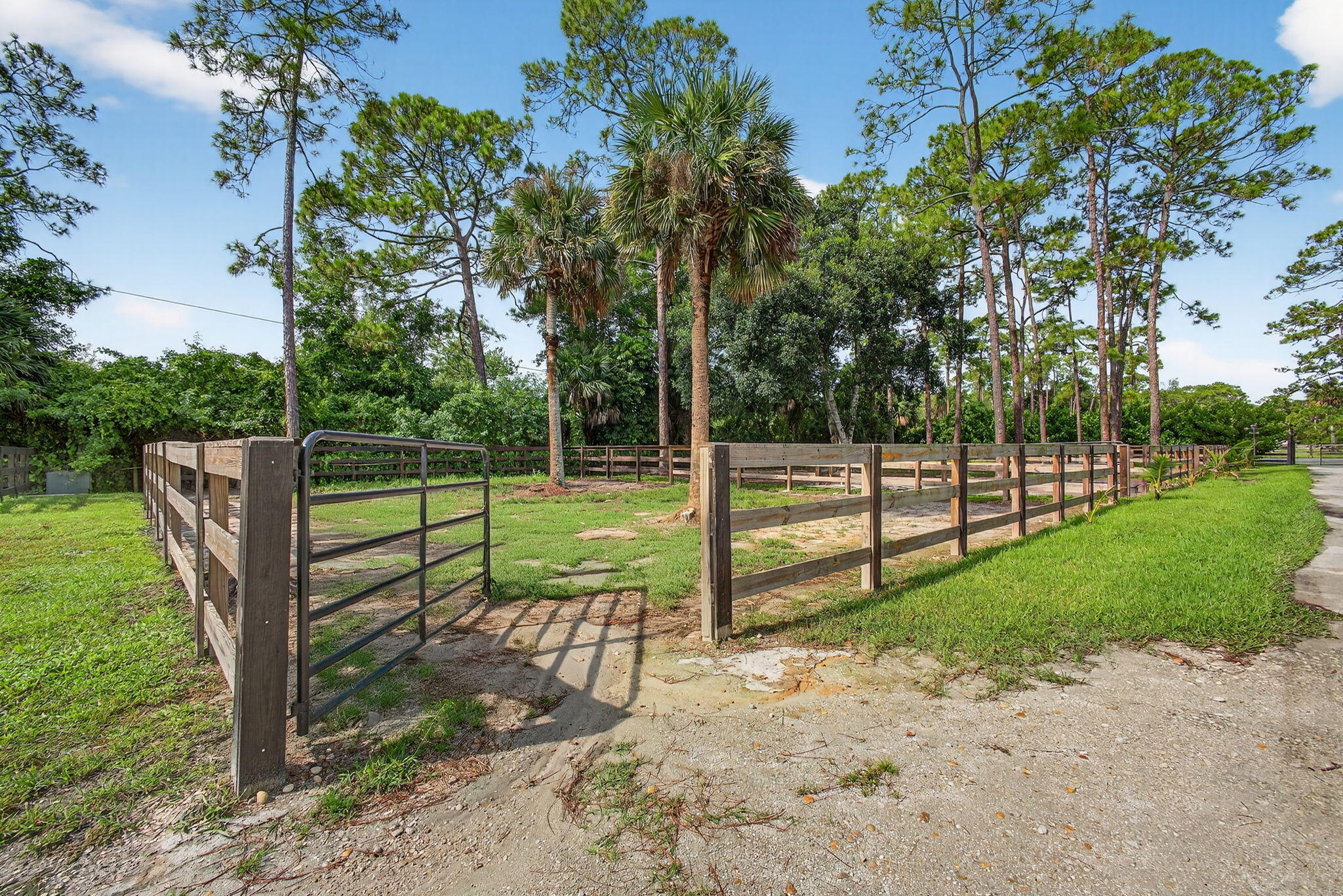 1032 Hyde Park Road Loxahatchee Groves, FL 33470 - Photo 25 of 30 a view of a park with large trees