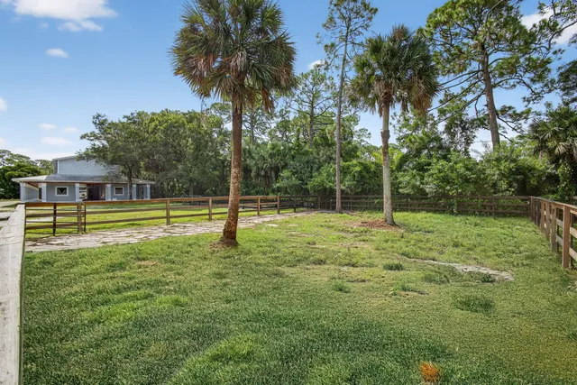 a view of a yard with a trees