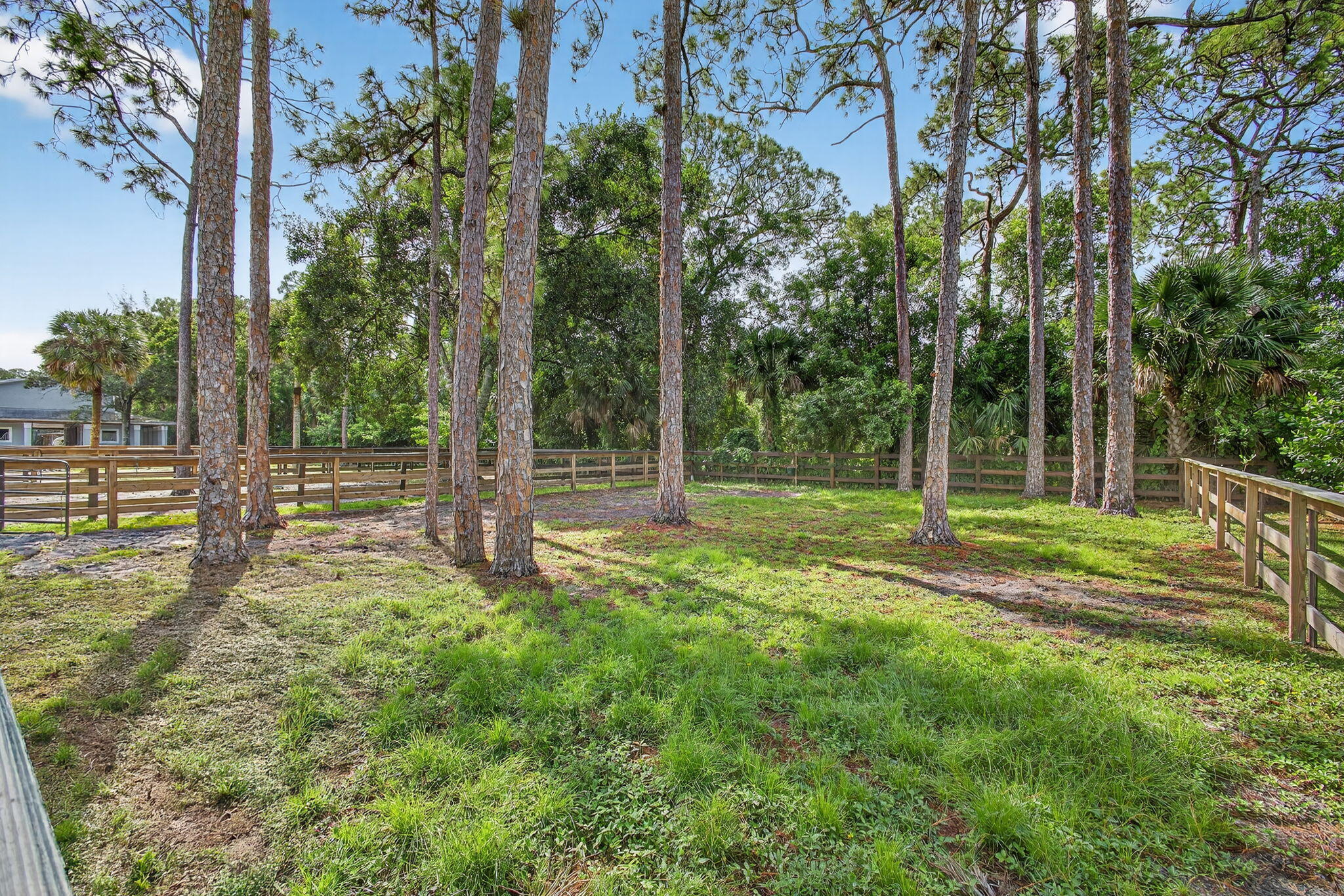 1032 Hyde Park Road Loxahatchee Groves, FL 33470 - Photo 27 of 30 a view of a yard with a tree