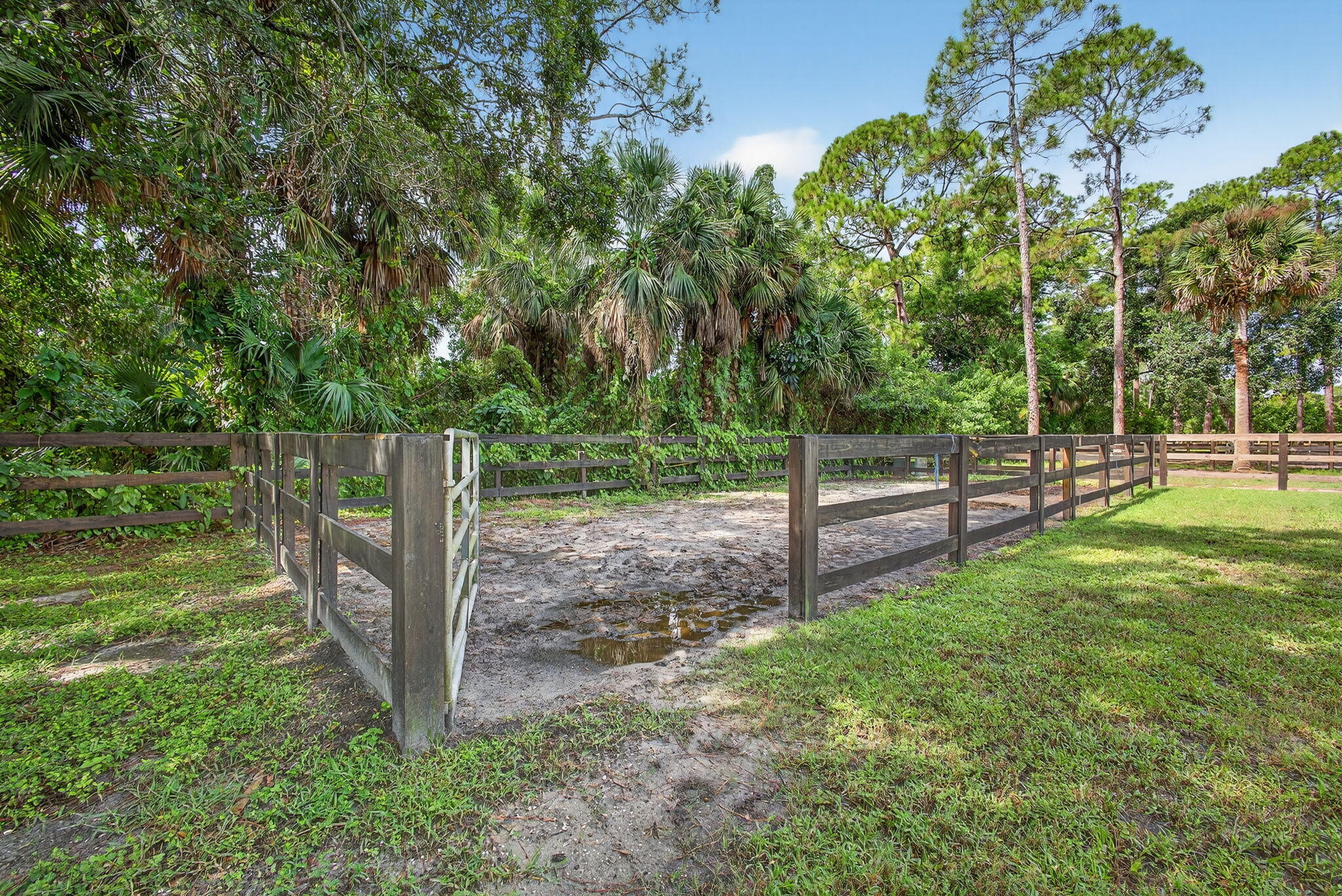 1032 Hyde Park Road Loxahatchee Groves, FL 33470 - Photo 28 of 30 a view of a yard with a trees