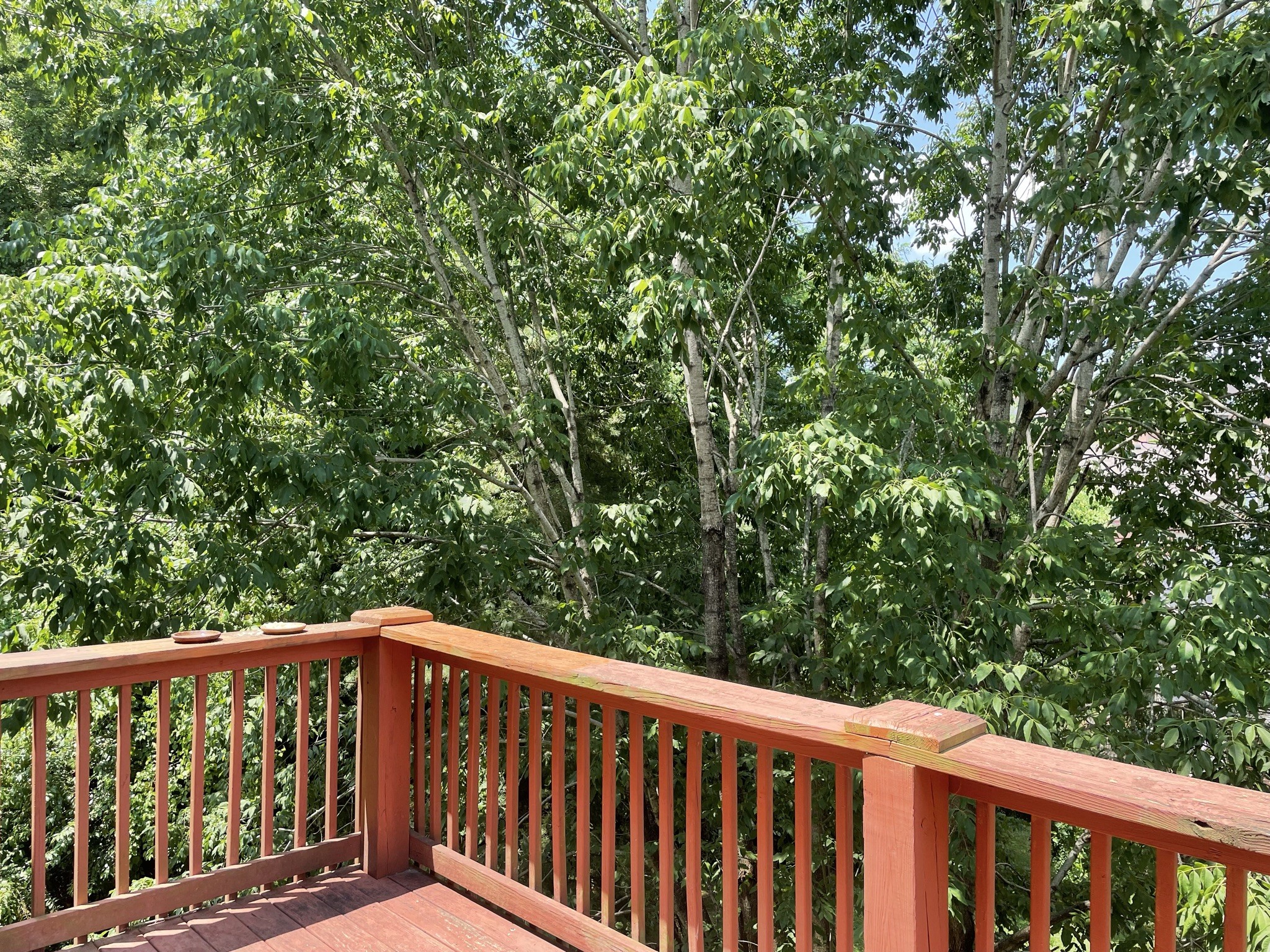 721 Canoe Ridge Point Antioch, TN 37013 - Photo 45 of 50 a view of roof deck