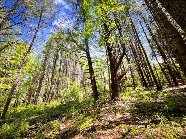 $159,900 | 200 Cumber Road, Barton, NY 14892