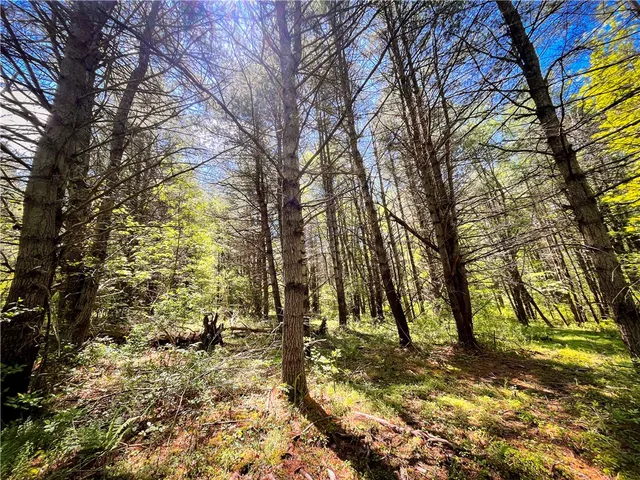 $159,900 | 200 Cumber Road, Barton, NY 14892