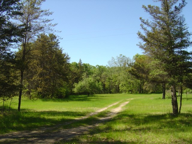 40 17 Mile Road Marion, MI 49665 - Photo 33 of 37 1859826-32.JPG