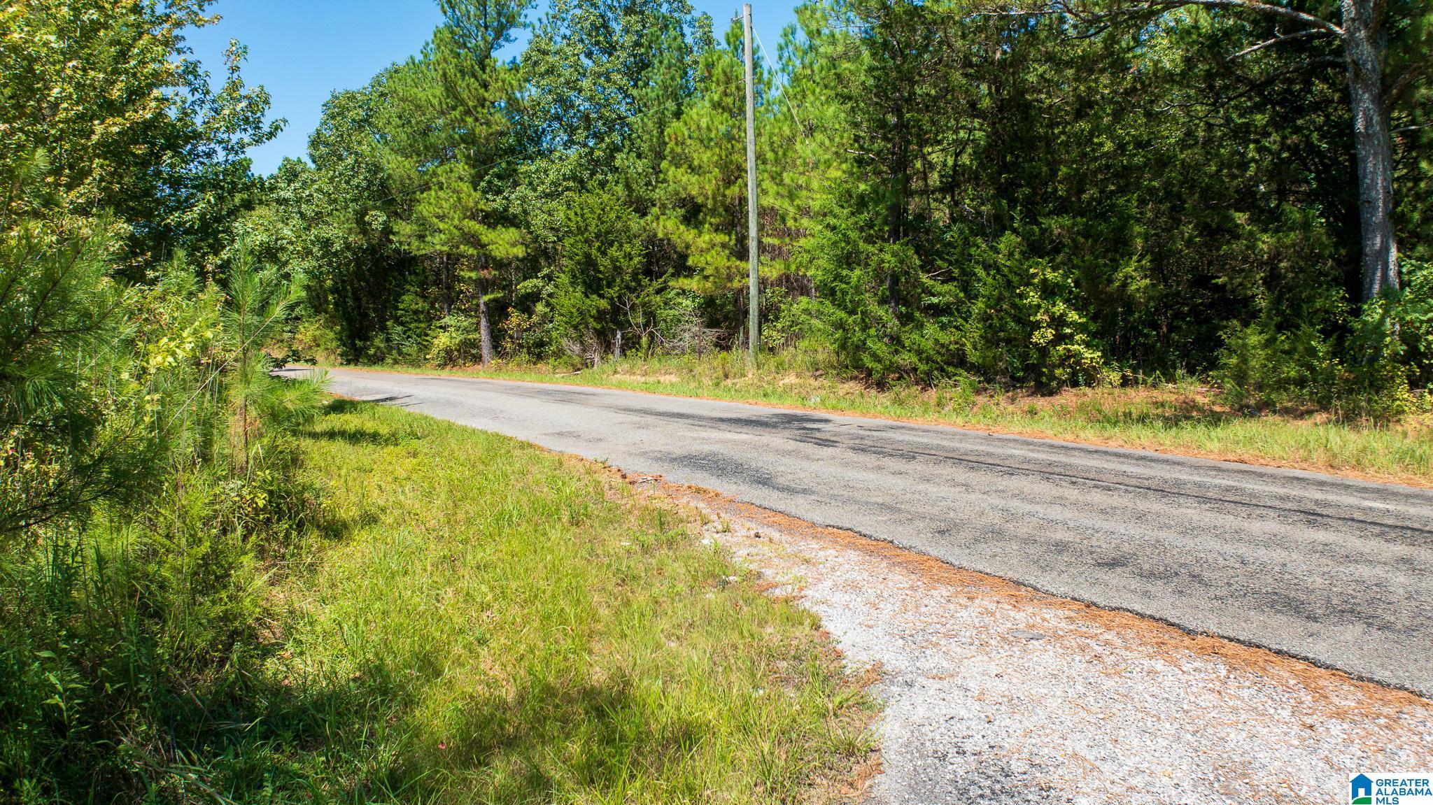 51 County Road Rogersville, AL 35652 - Photo 23 of 27 Gallery Image 23