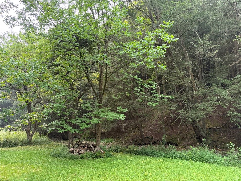 Wp01 Starr Road Campbell, NY 14821 - Photo 7 of 50 Gallery Image 7