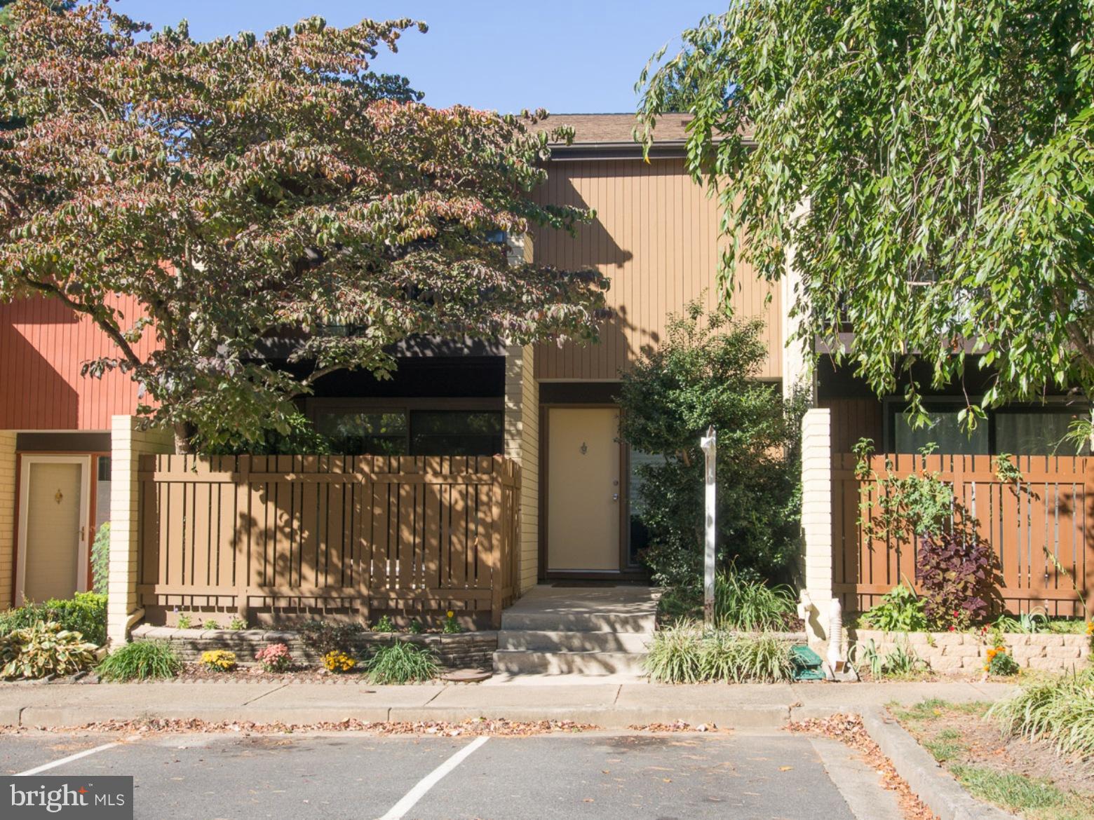 a street view with wooden fence and a tree