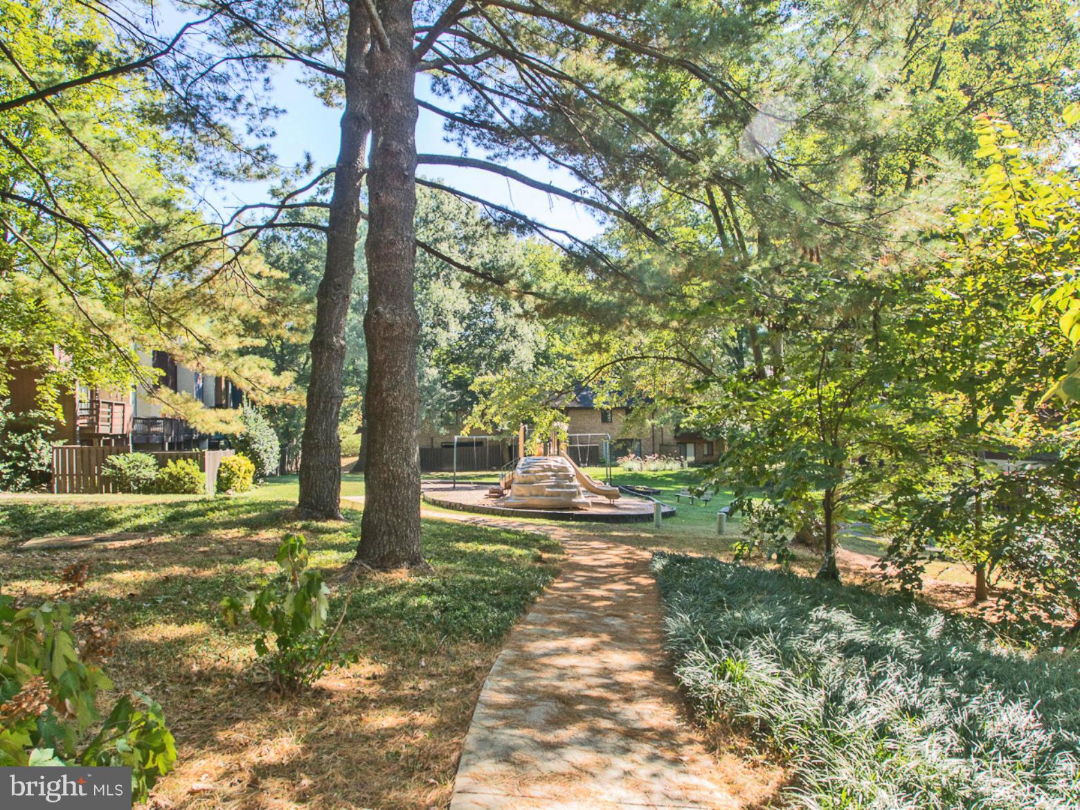 11168 Saffold Way Reston, VA 20190 - Photo 24 of 28 a view of a yard with plants and large trees