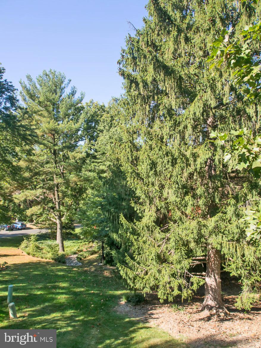 11168 Saffold Way Reston, VA 20190 - Photo 28 of 28 a view of a big yard with plants and large trees