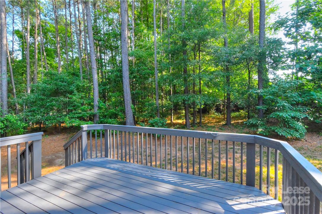 10496 Gunnison Lane Charlotte, NC 28277 - Photo 43 of 44