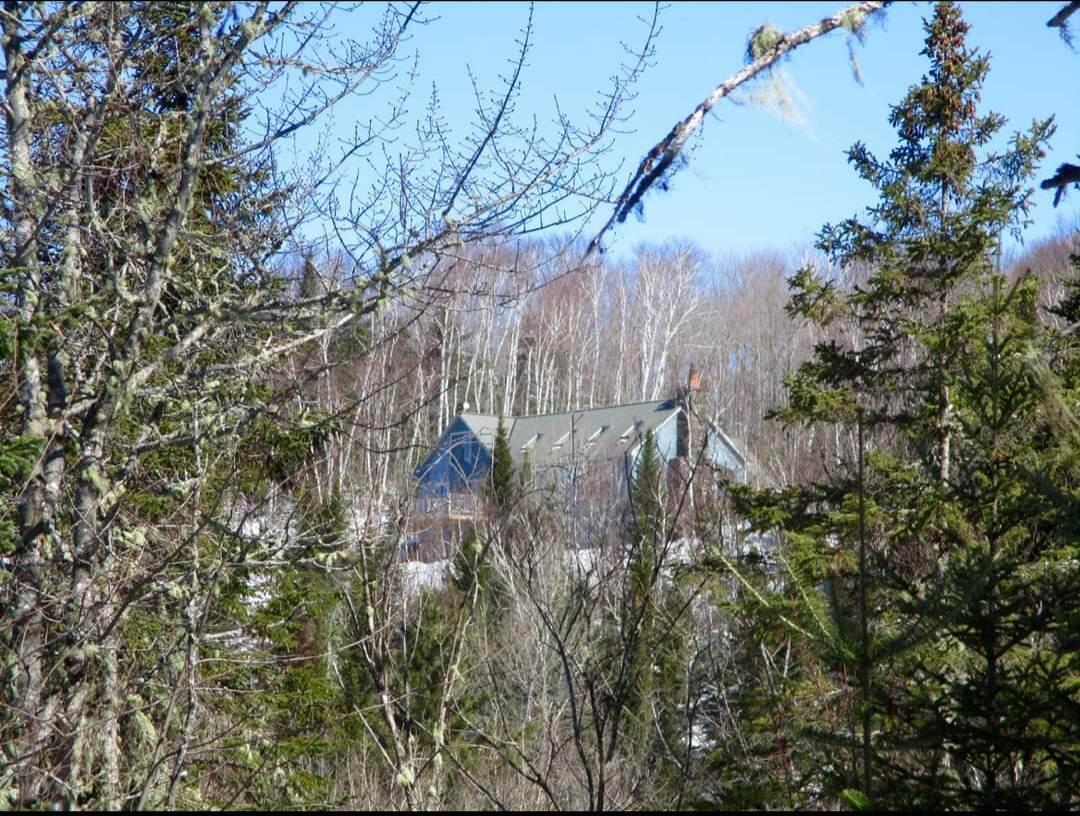 288 Richardson Road Mapleton, ME 04757 - Photo 56 of 67 330834244_591641485736939_80459814646524