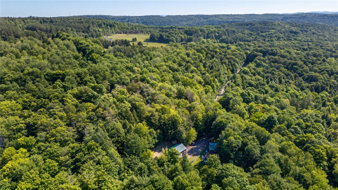 159 Seven Ponds Road Summit, NY 12175 - Photo 5 of 49 Gallery Image 5