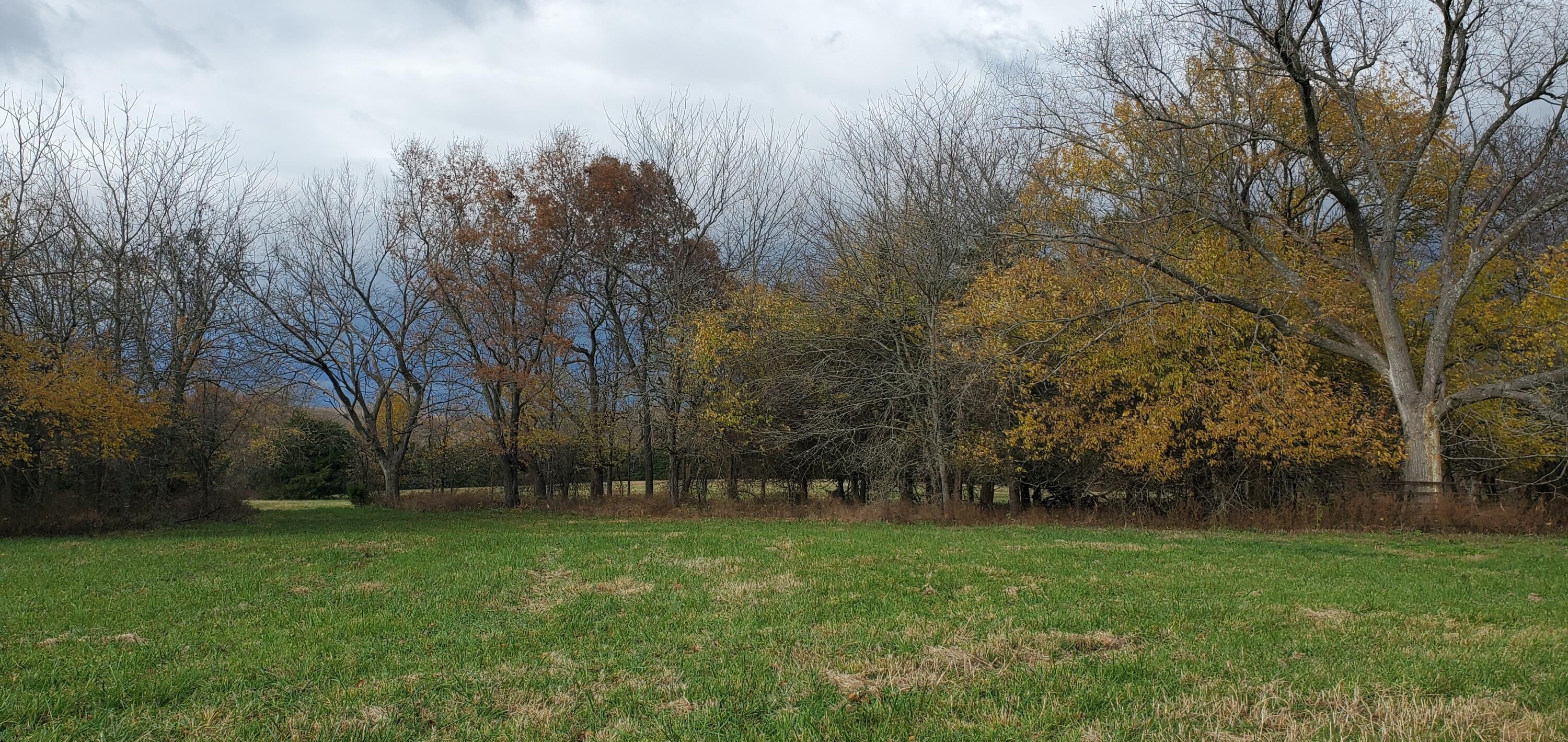 4775 South 50th Road Aldrich, MO 65601 - Photo 62 of 306 20211117_102024