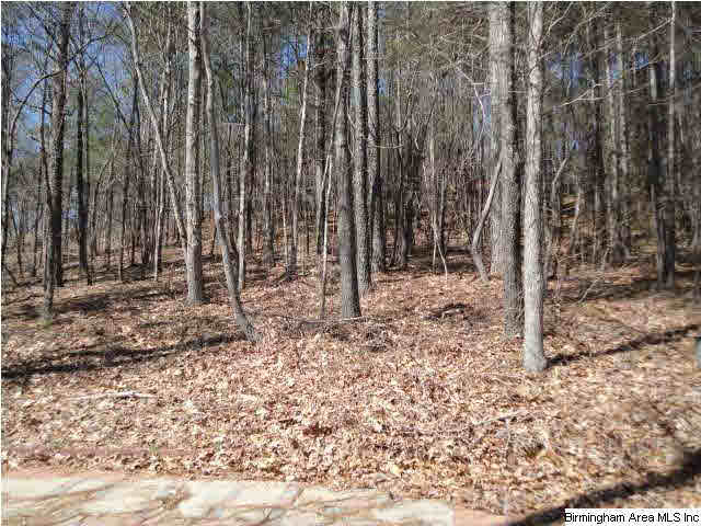1009 Stoneykirk Road Pelham, AL 35124 - Photo 29 of 32