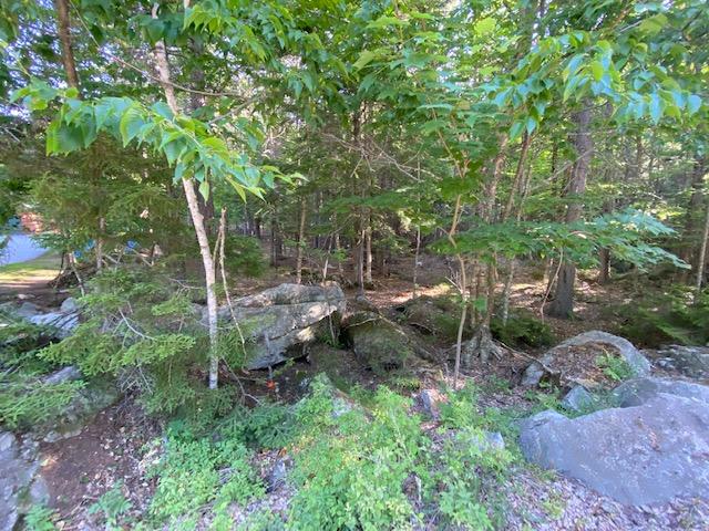243 Forest Depths Road Beaver Cove, ME 04441 - Photo 3 of 6 IMG_2834