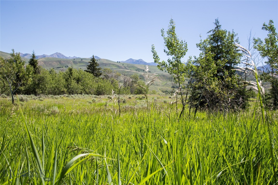 Lot 13 Sun West Ranch Cameron, MT 59720 - Photo 10 of 34 Gallery Image 10