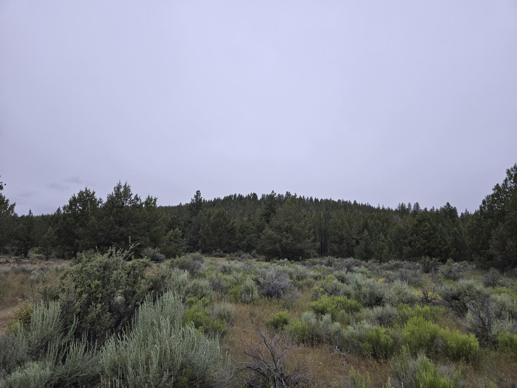 0 Tableland Road, Unit 5200 Chiloquin, OR 97624 - Photo 1 of 6 Area Photo