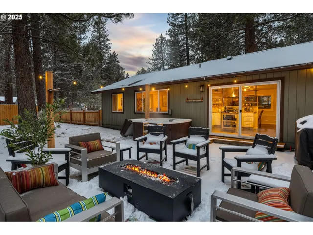 a view of a forest with trees