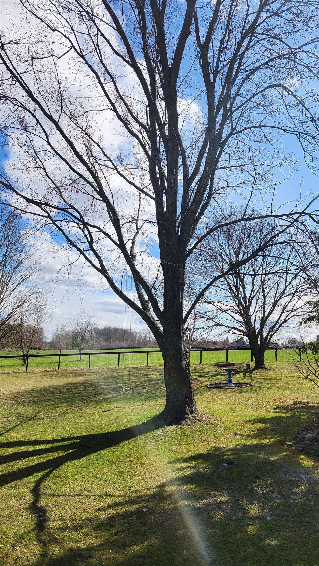 5232 Brackett Road Williamsburg, MI 49690 - Photo 16 of 22