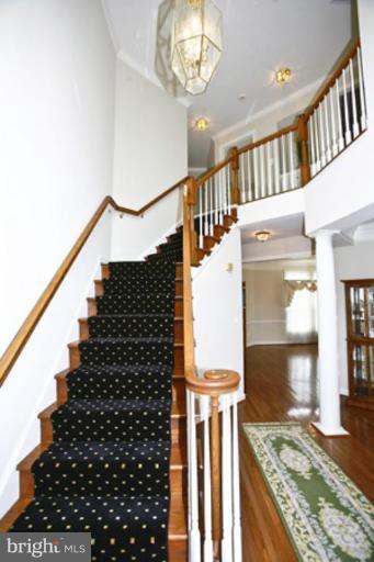 Entrance / Foyer