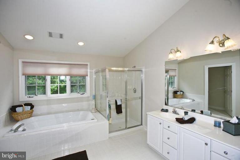 2079 Madrillon Road Vienna, VA 22182 - Photo 9 of 18 Master Bath