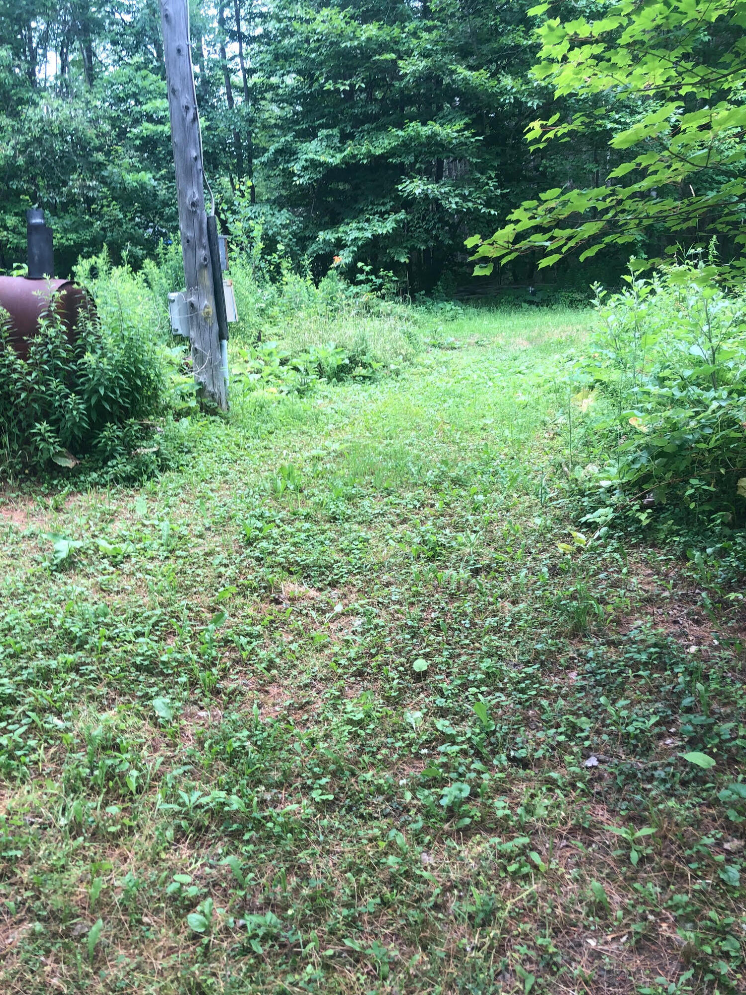 98 Kendall Corner Road Belfast, ME 04915 - Photo 4 of 7 unnamed (2)