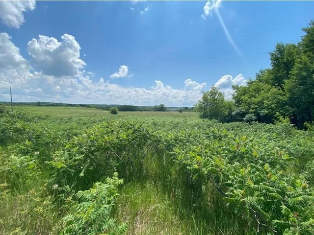 $60,000 | Tract B 113th Street, Ashby, MN 56309