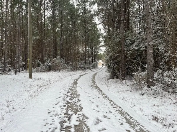 $790,000 | 4450 FM 1746, Woodville, TX 75979