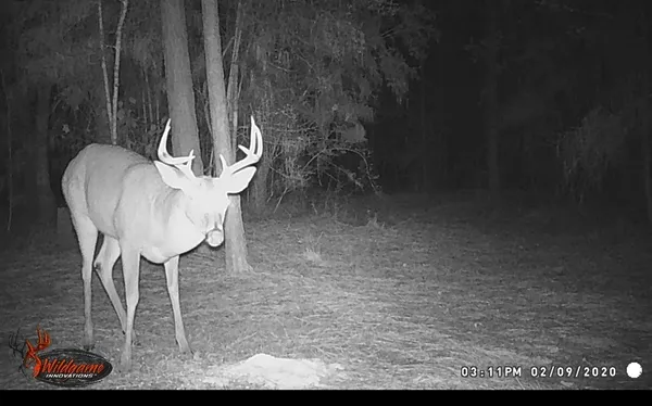 $790,000 | 4450 FM 1746, Woodville, TX 75979