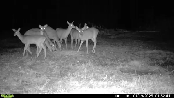 $790,000 | 4450 FM 1746, Woodville, TX 75979