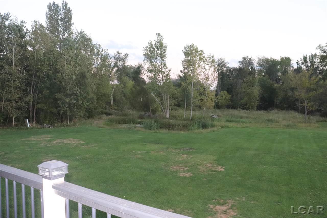 13461 Allen Road Clinton, MI 49236 - Photo 7 of 32