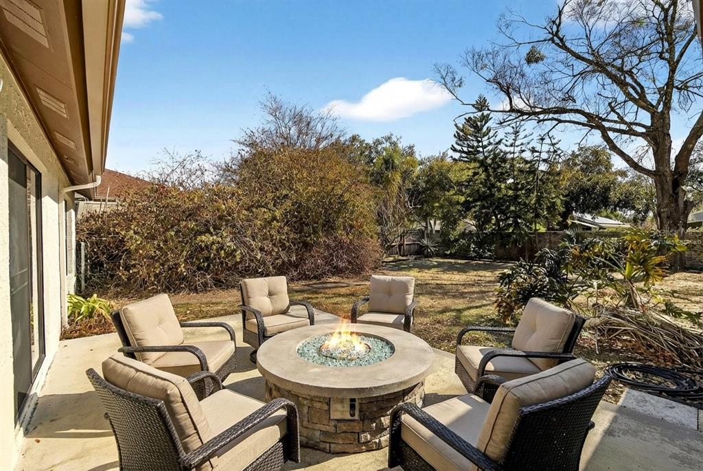 4207 Spring Way Circle Valrico, FL 33596 - Photo 32 of 33