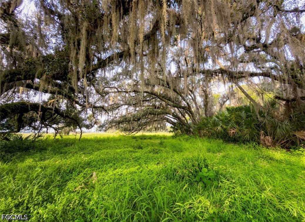 3291 Fort Denaud Road LaBelle, FL 33935 - Photo 24 of 25 Gallery Image 24