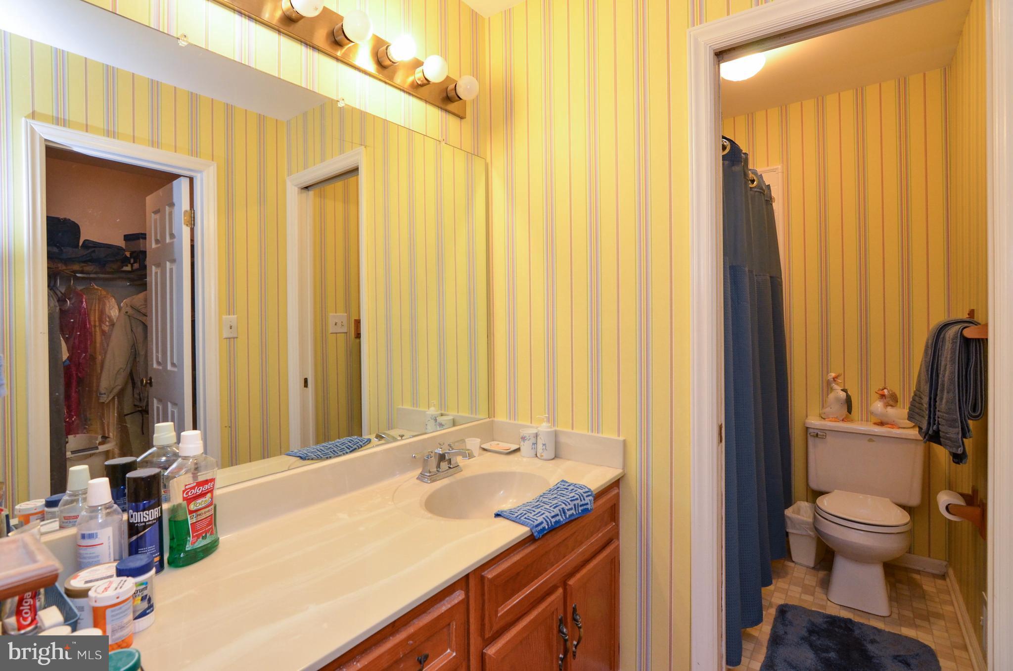 8488 Fletchers Chapel Road King George, VA 22485 - Photo 17 of 30 Bath (Master)