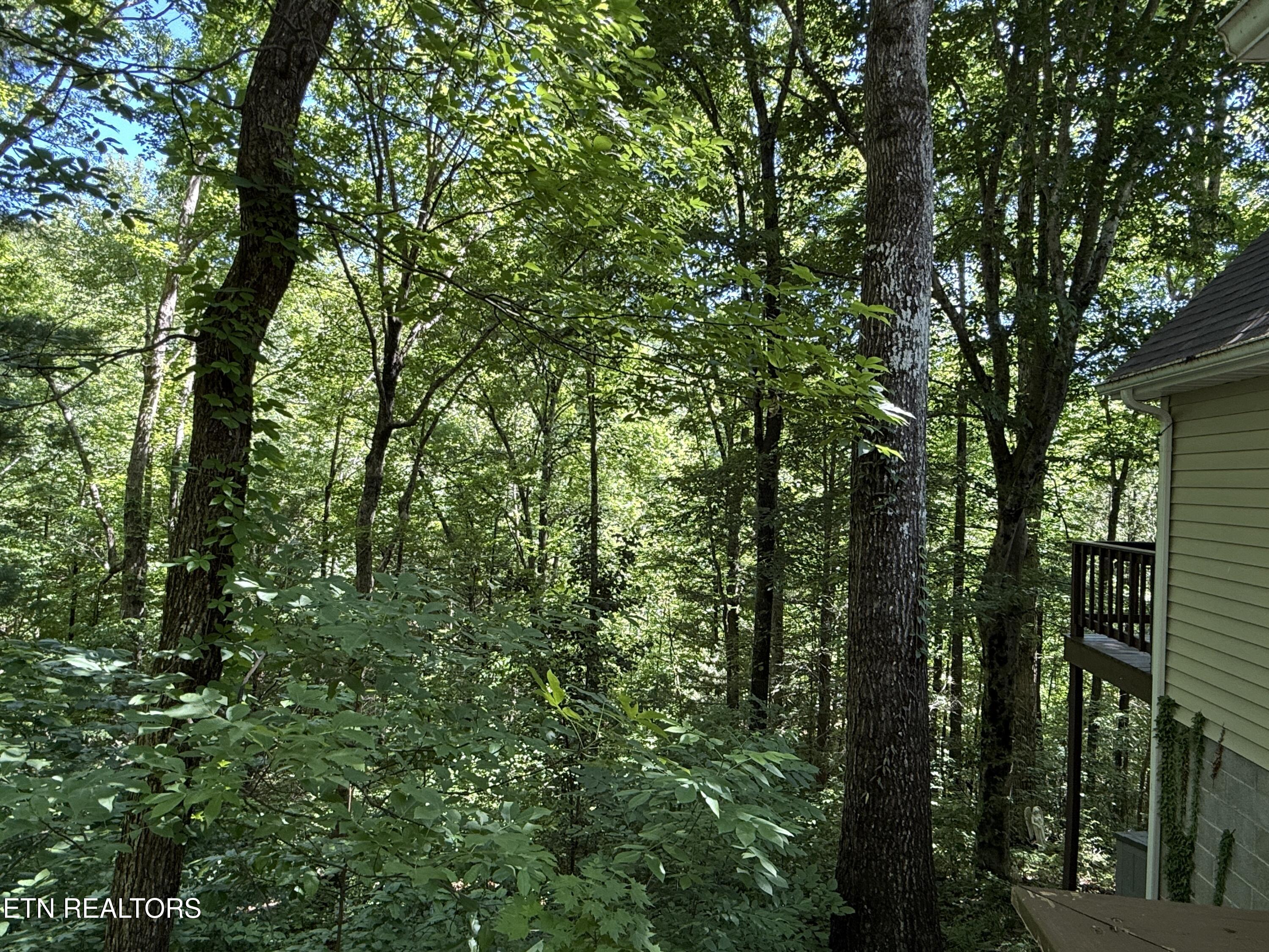 4039 Barb Hollow Road Walland, TN 37886 - Photo 11 of 46 Rear entrance